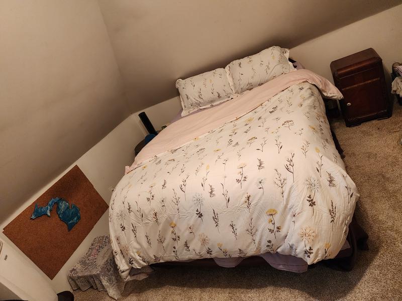 Great deal fir the Price