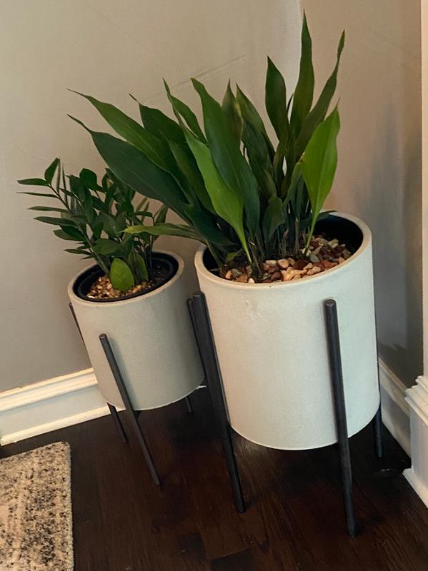 Review Thumbnail Image 0 199966373