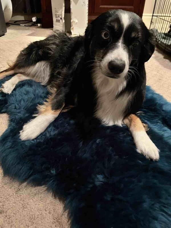 Review Thumbnail Image 1 227967095