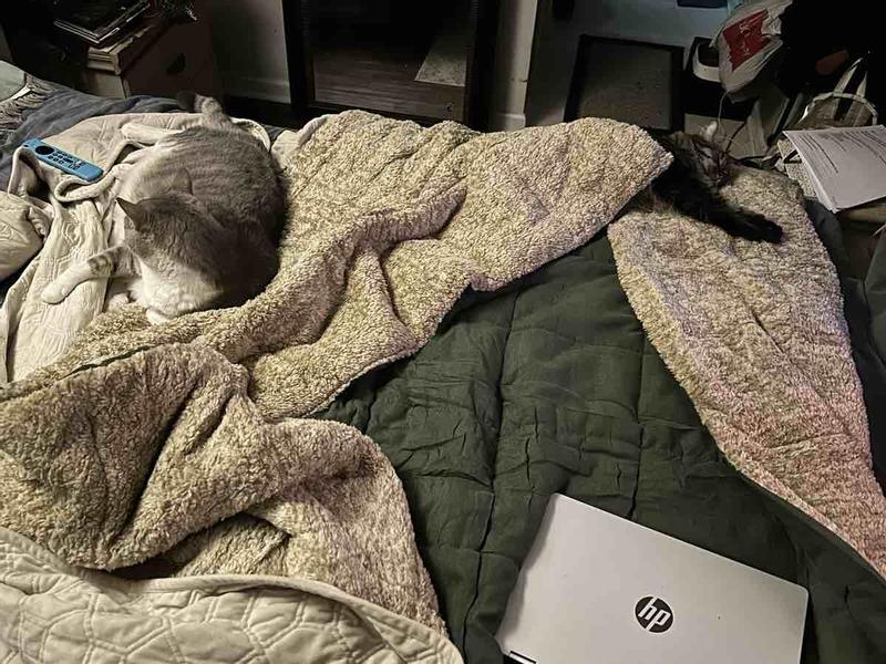 Review Thumbnail Image 2 244369300