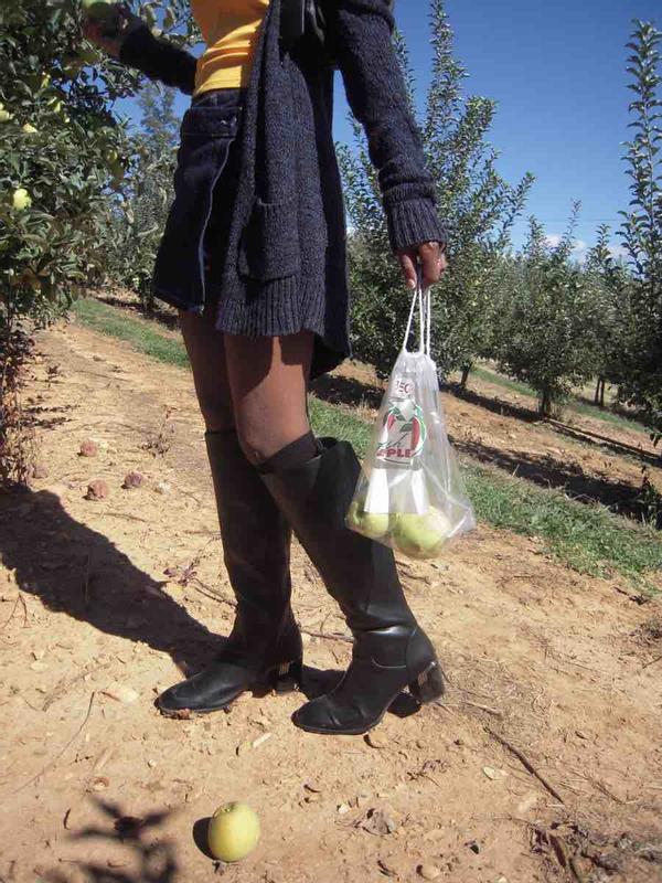 Review Thumbnail Image 0 245255625