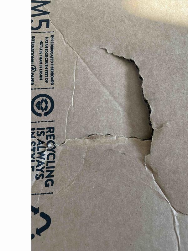 Review Thumbnail Image 0 231870304