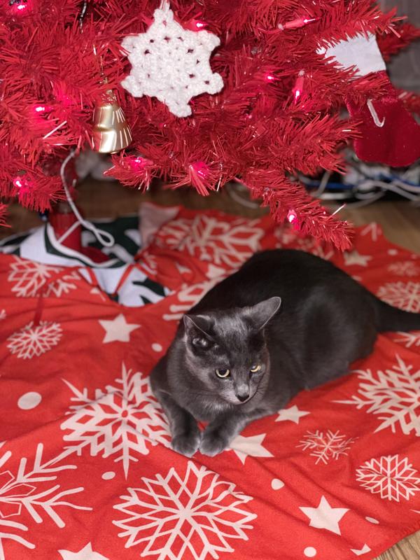 Eye catching Delight