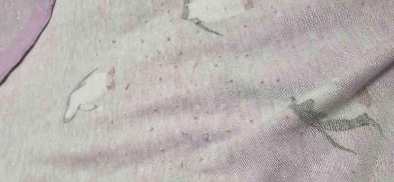 Review Thumbnail Image 0 242881369