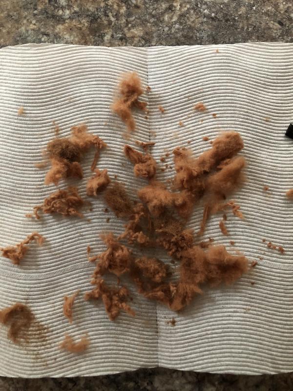 Review Thumbnail Image 0 241075781