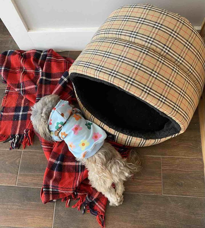 Review Thumbnail Image 0 224196726