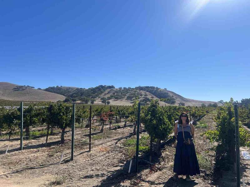 Review Thumbnail Image 1 245355331