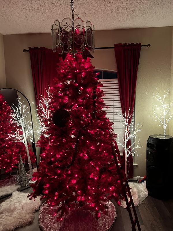 Pictures do no JUSTICE beautiful tree