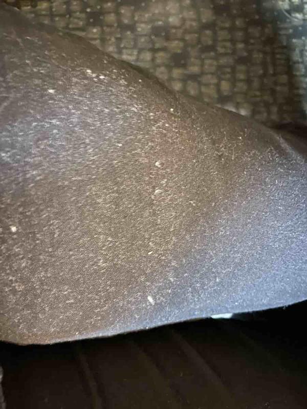 Review Thumbnail Image 0 229554817