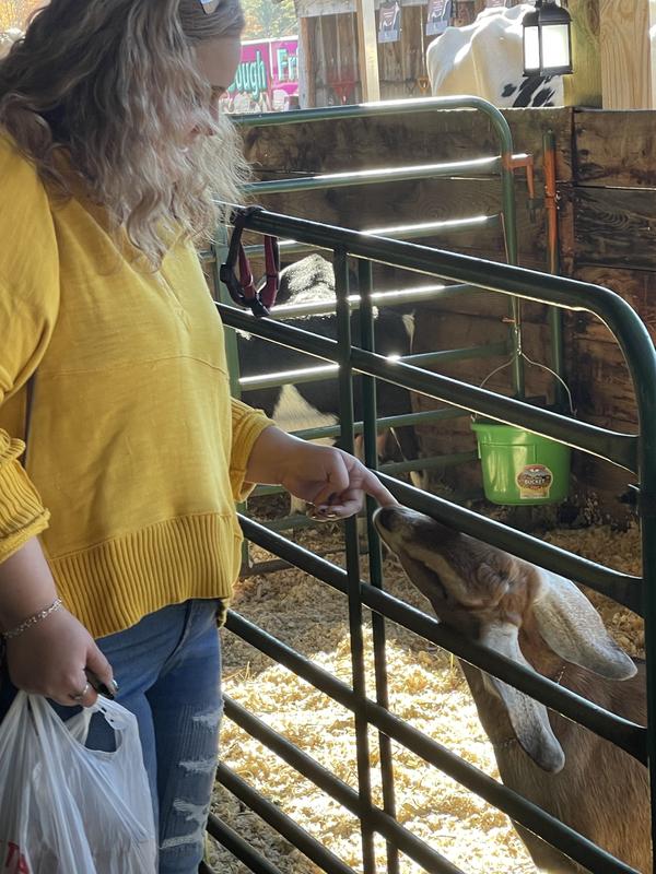 Review Thumbnail Image 0 220206627