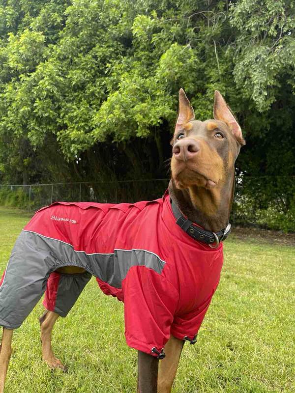 Review Thumbnail Image 0 234985906