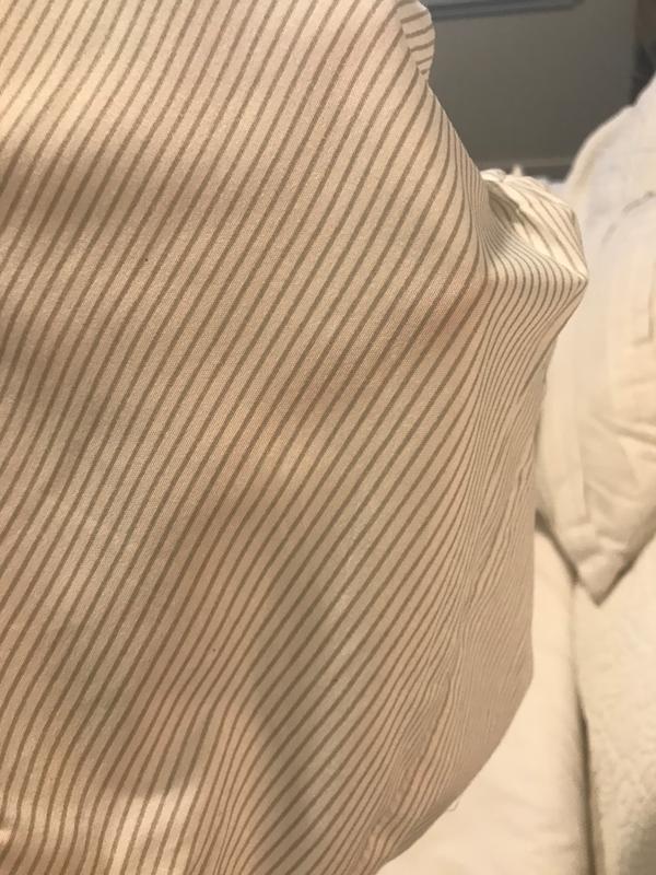 Review Thumbnail Image 0 183194012