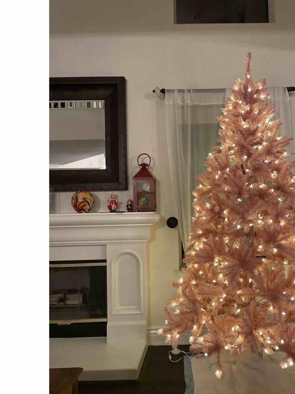 Review Thumbnail Image 1 221016687