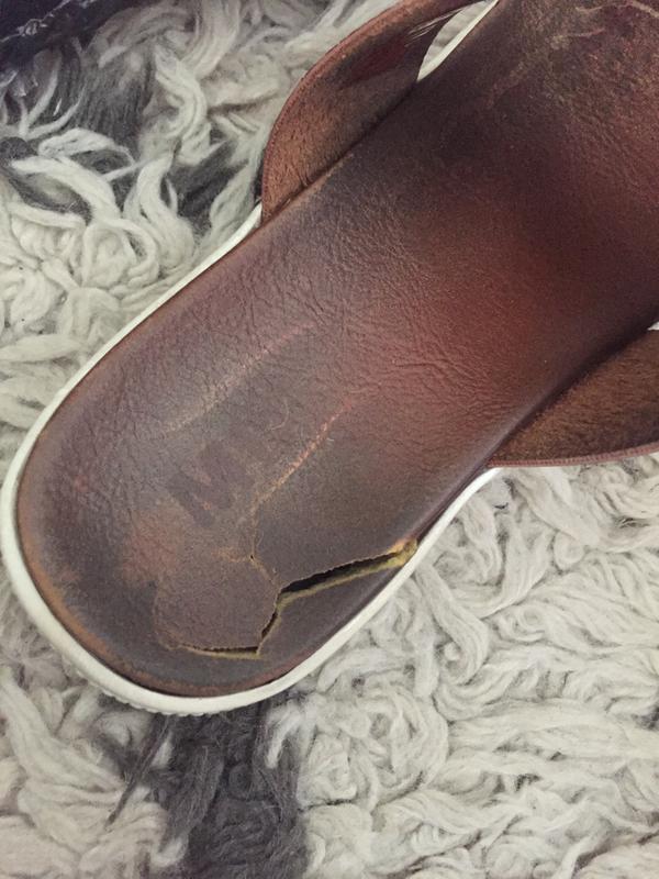 Review Thumbnail Image 3 181916075