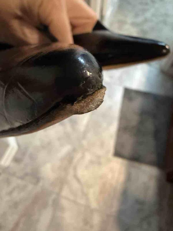 Review Thumbnail Image 0 245213702