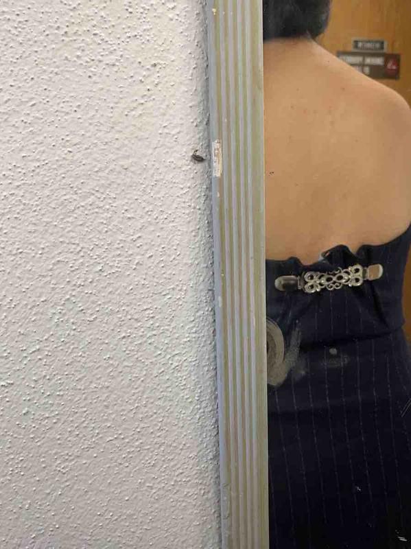 Review Thumbnail Image 2 243158262