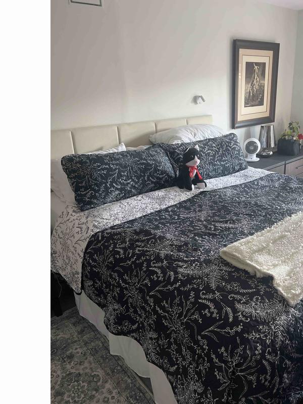 Review Thumbnail Image 0 237018438