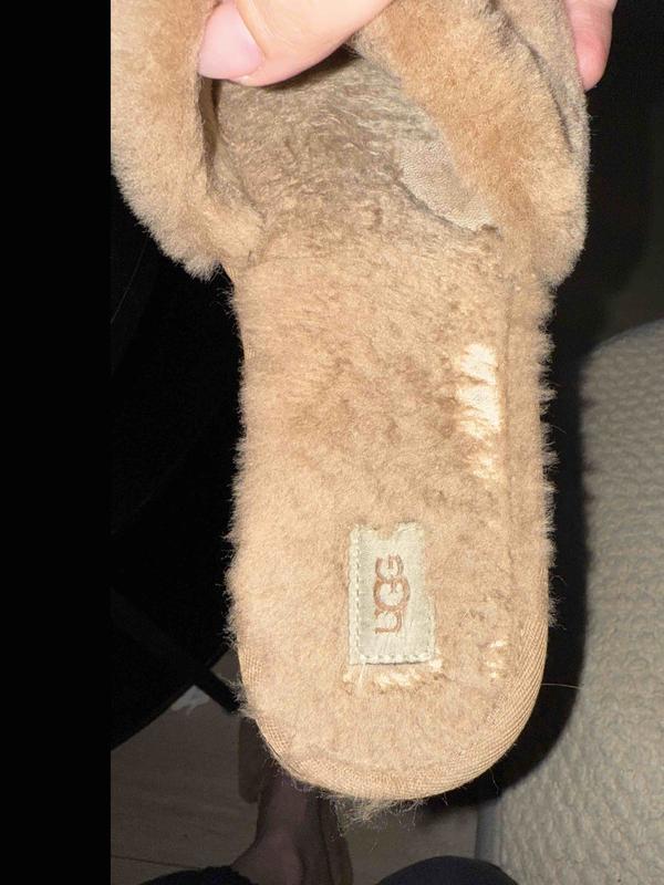 Review Thumbnail Image 1 244983774