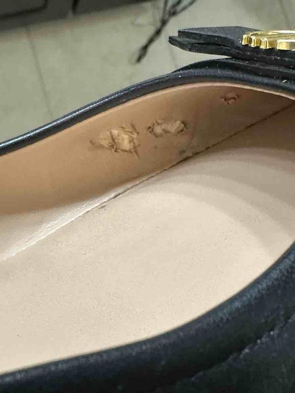 Review Thumbnail Image 0 242621088