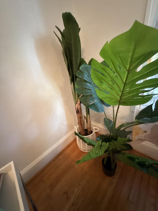 Review Thumbnail Image 0 242871990