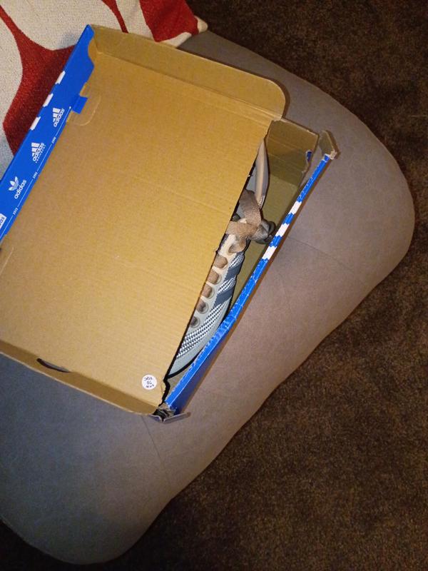 Customer photo for "Damaged Box"