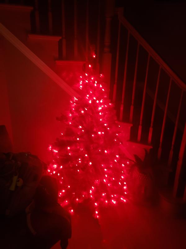 Review Thumbnail Image 0 221235758