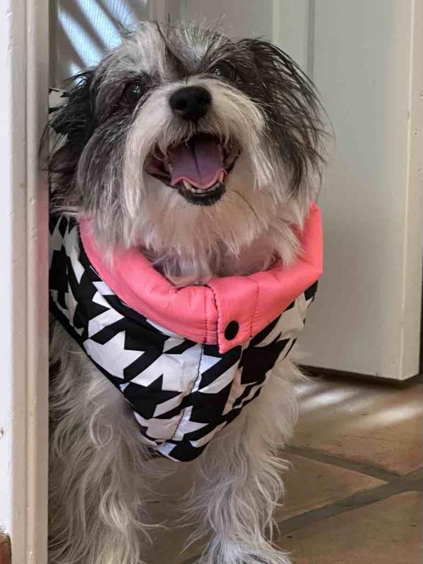 Review Thumbnail Image 0 245312038