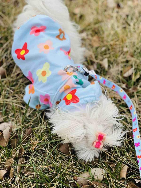 Review Thumbnail Image 2 223462078