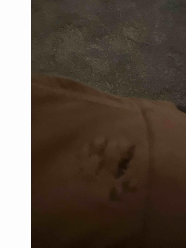 Review Thumbnail Image 1 243475623