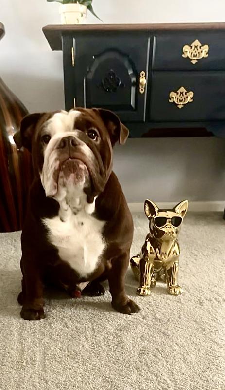 Review Thumbnail Image 0 233388276