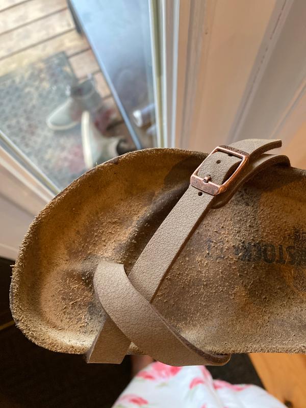 Review Thumbnail Image 0 196537834