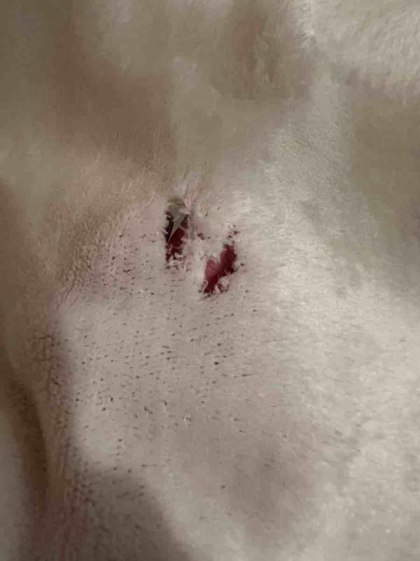 Review Thumbnail Image 0 229460328