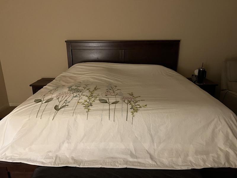 Review Thumbnail Image 0 243537005