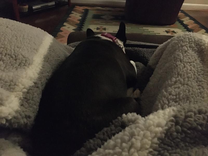 Review Thumbnail Image 0 219981105