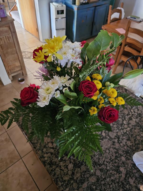 Review Thumbnail Image 0 236513998