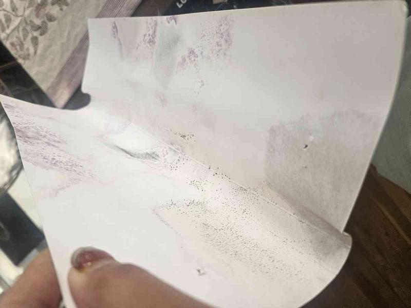 Review Thumbnail Image 0 248067798