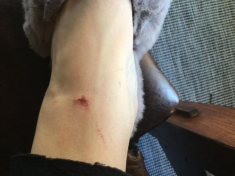 Review Thumbnail Image 0 224991561