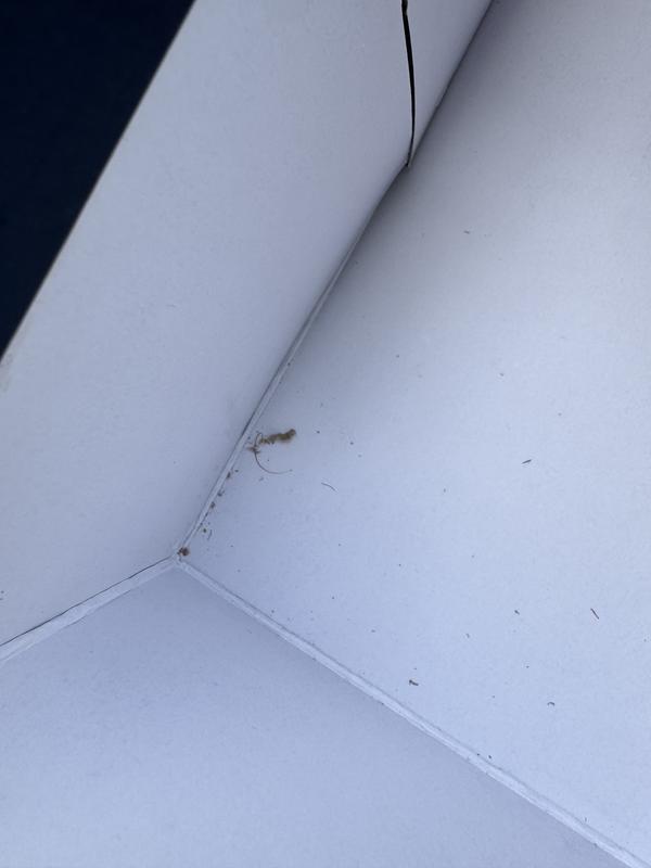 Review Thumbnail Image 0 245506653