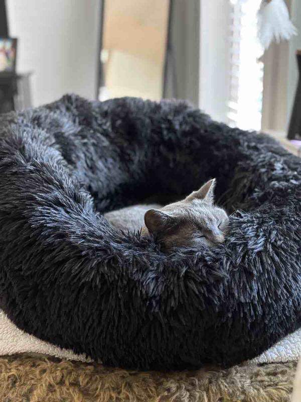 Review Thumbnail Image 0 247358744