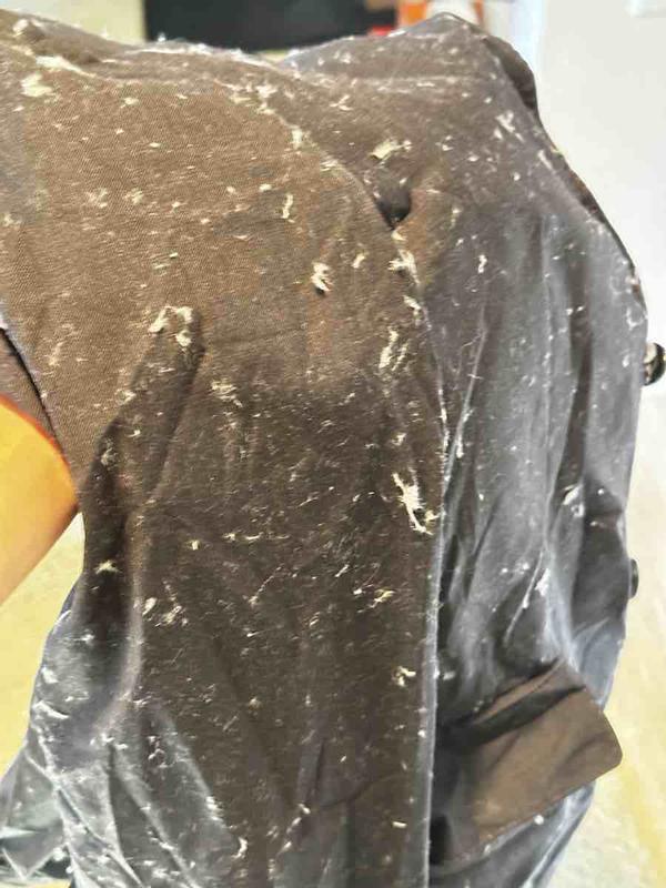 Review Thumbnail Image 1 234857853