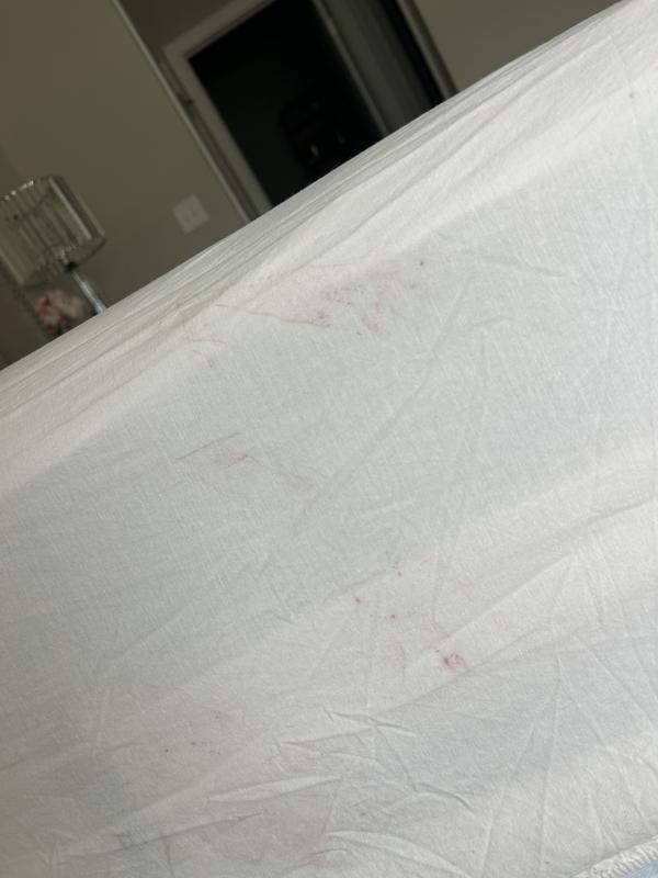 Review Thumbnail Image 0 248174447