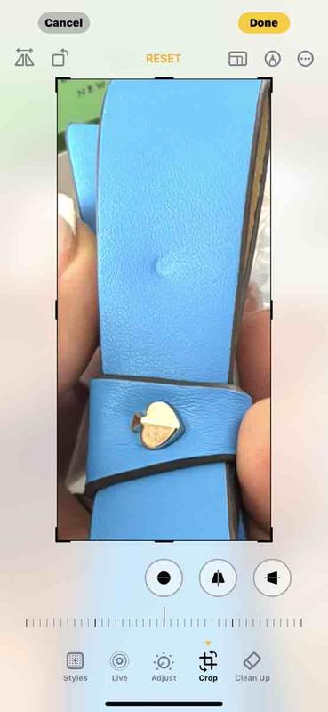 Review Thumbnail Image 0 243753532