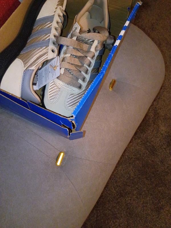 Customer photo for "Damaged Box"