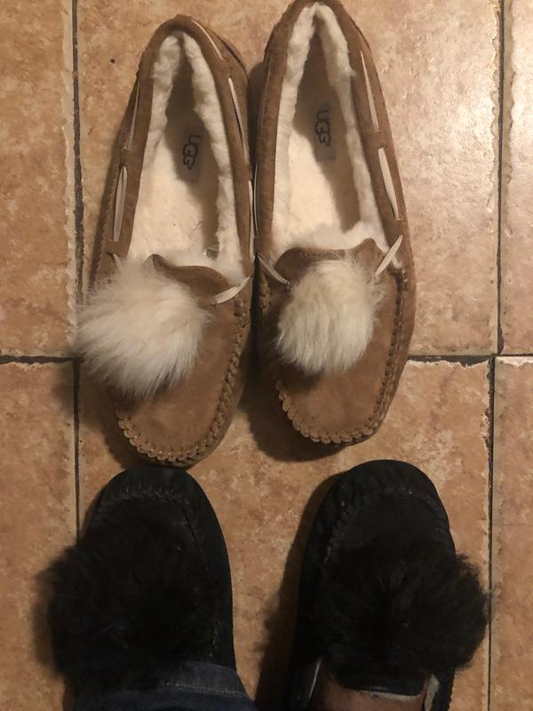 Customer photo for "Shoes That Caresses The Feet All Day"
