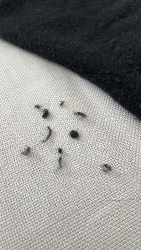 Review Thumbnail Image 0 239384289