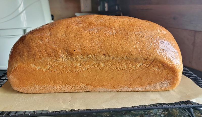 Review Thumbnail Image 1 237150554