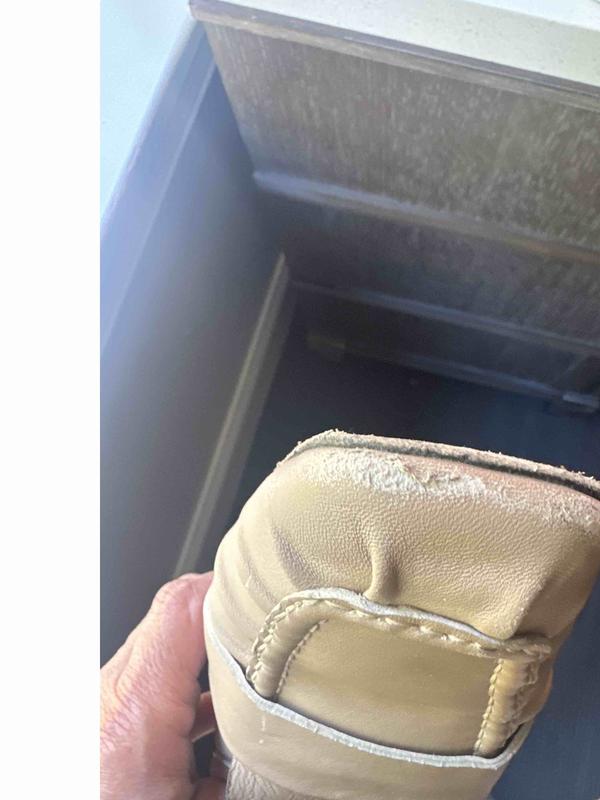 Review Thumbnail Image 1 237004989