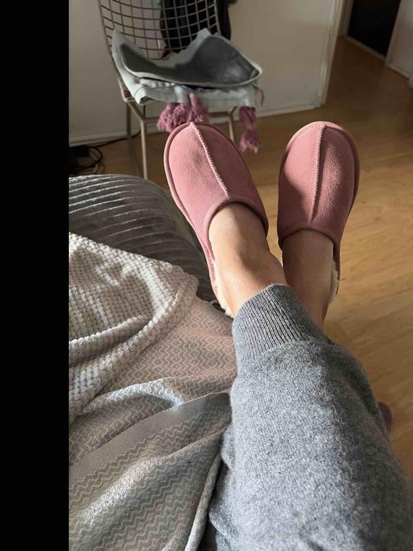 Customer photo for "I buy these every season"