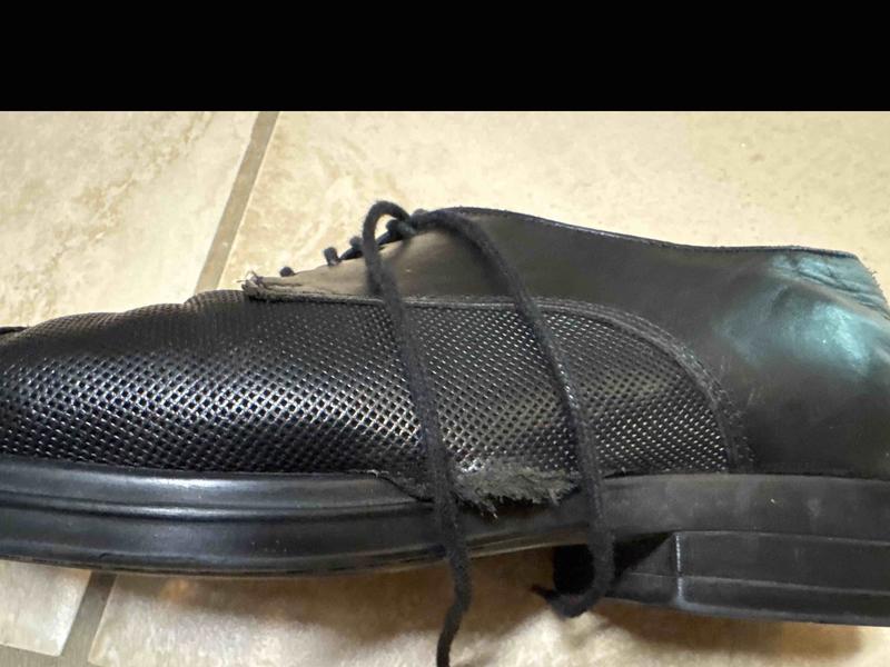 Review Thumbnail Image 1 for review 252049162