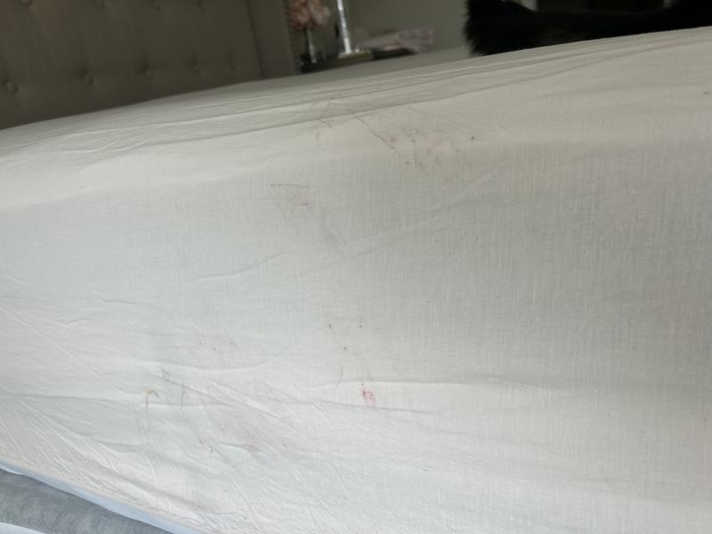 Review Thumbnail Image 2 248174447